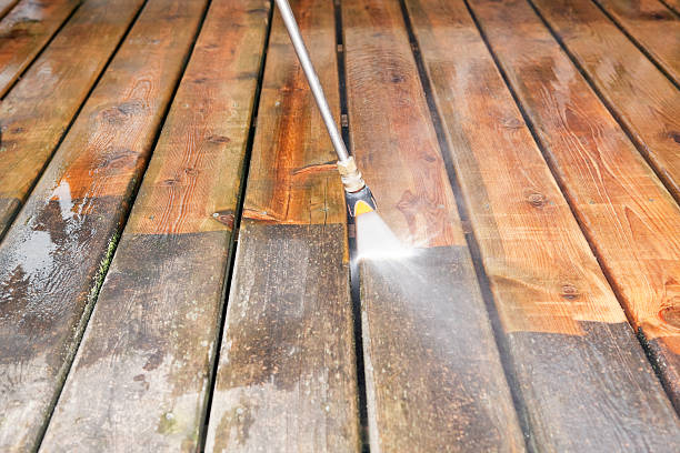 Animal Enclosure Cleaning in Troy, PA